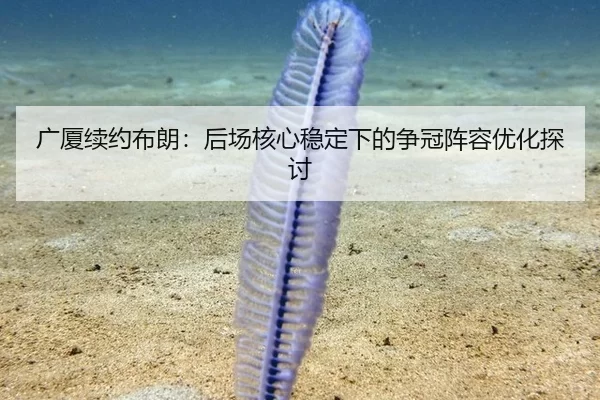 广厦续约布朗：后场核心稳定下的争冠阵容优化探讨